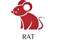 Rat